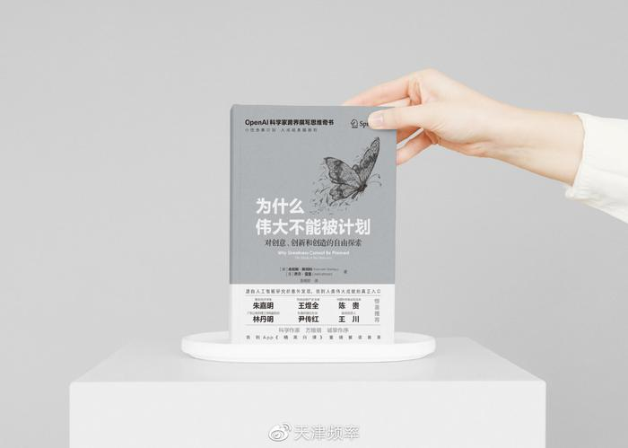 伟大不能被计划
